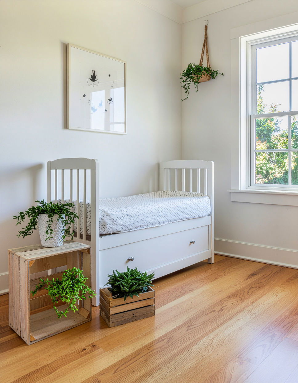 A Touch of Nature with Indoor Plants