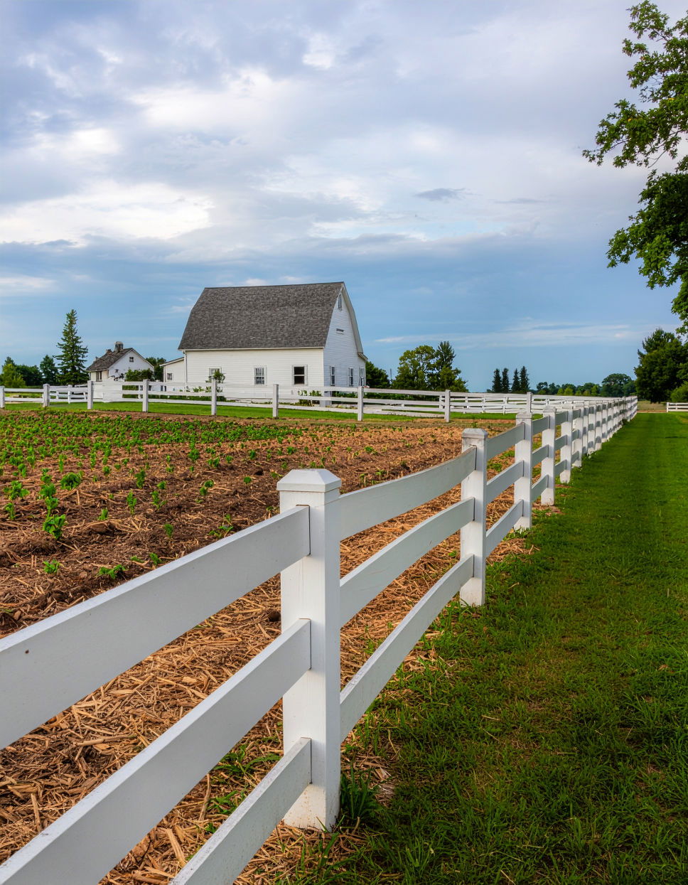 Classic Wooden Farm Fence