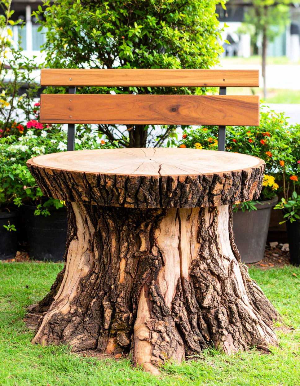 Create a Tree Stump Garden Bench Tree Stump Decorating Ideas