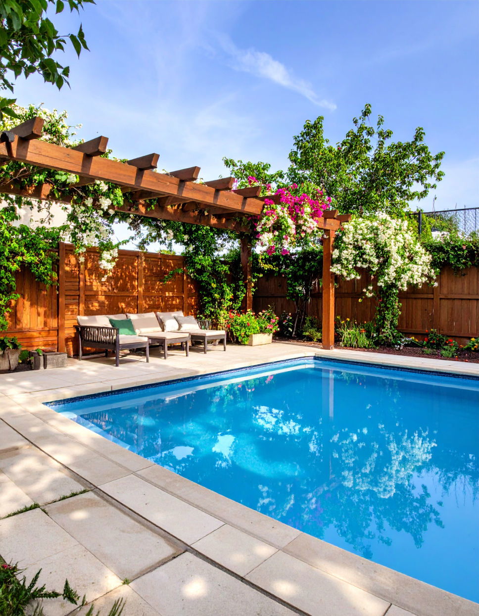 Design Custom Lattice Screens with Climbing Plants