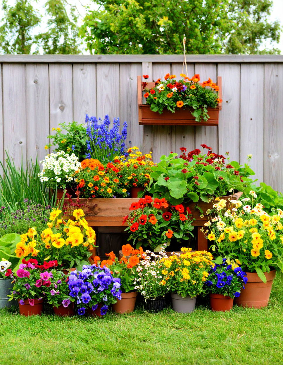 Edible Flower Garden