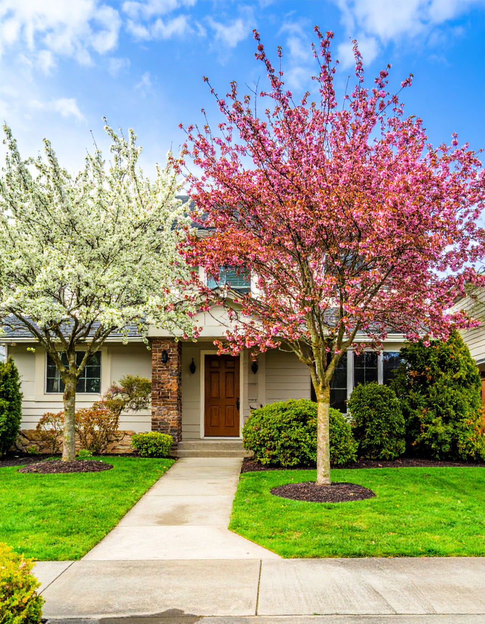 Flowering Trees to Add Color Tree Landscaping Ideas