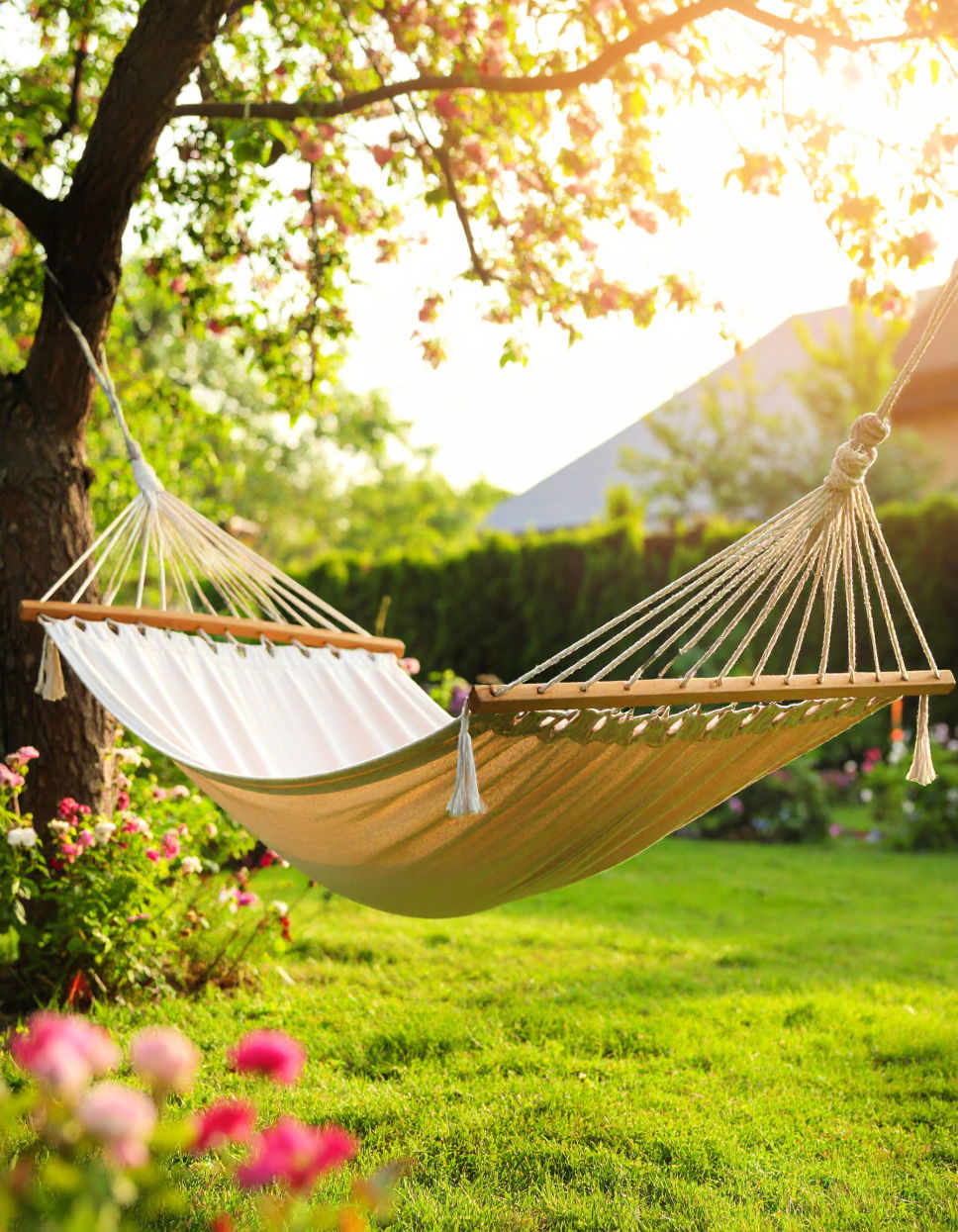 Hammock Swing Idea
