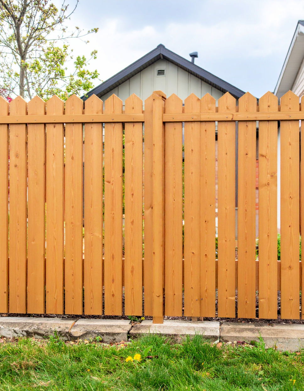 Honey Pine Fence Stain Color