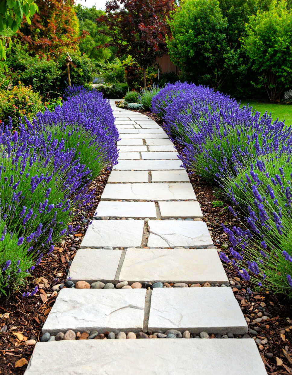 Lavender Edging Flagstone Walkway