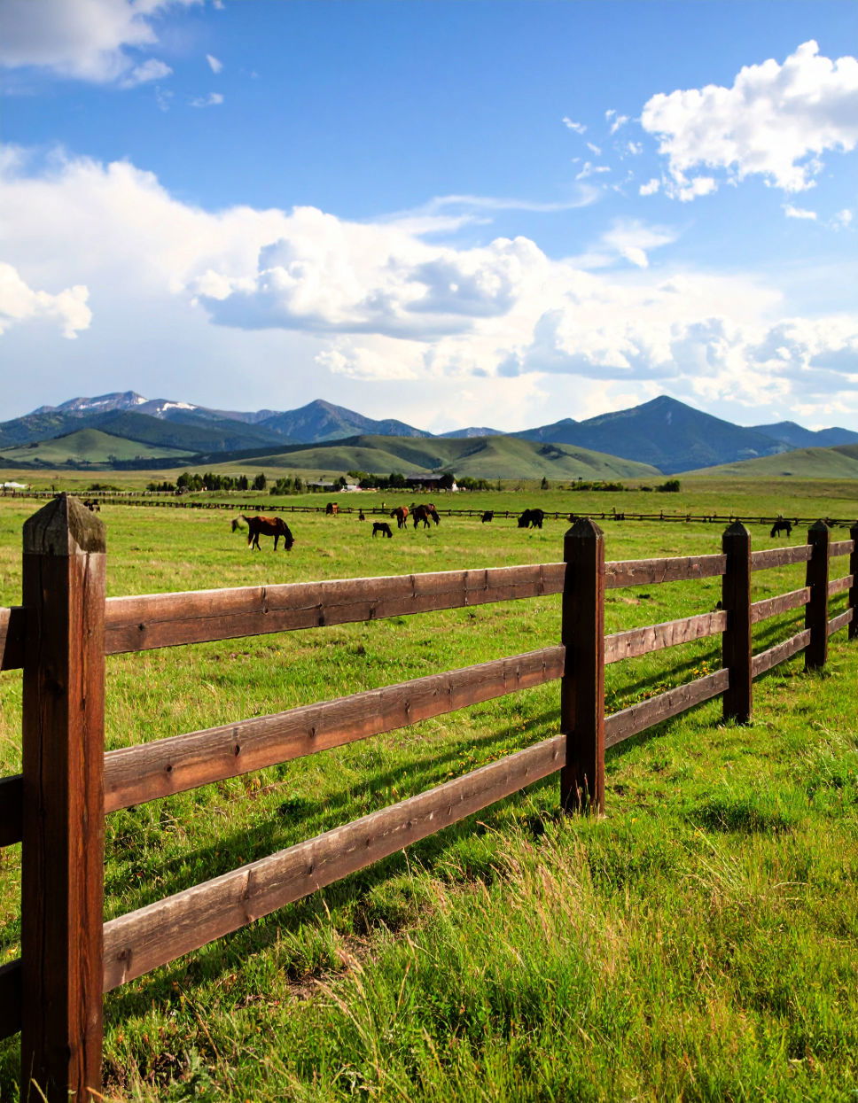 Post and Rail Fences for Open Landscapes Types of Fences