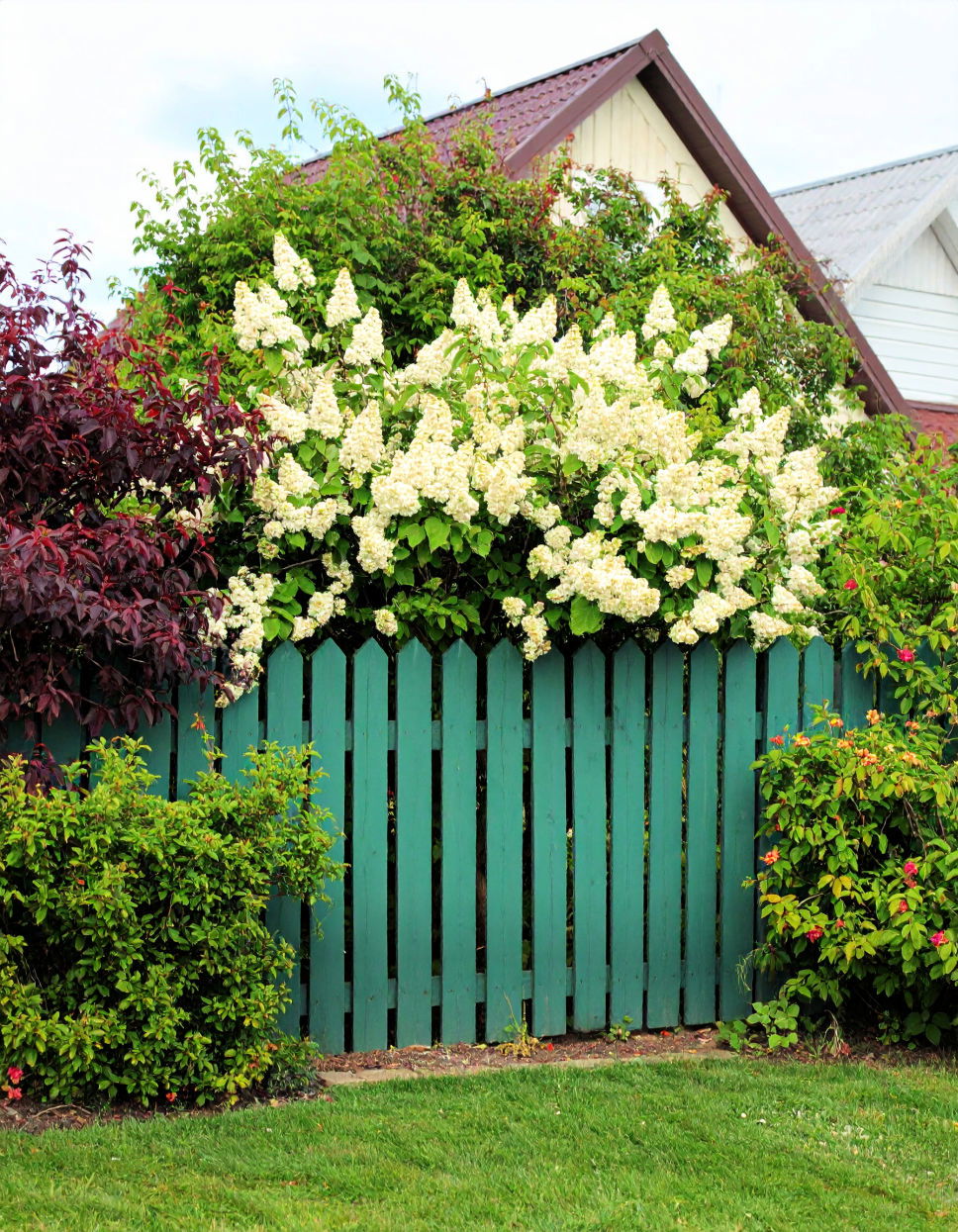 Sage Green Fence Color