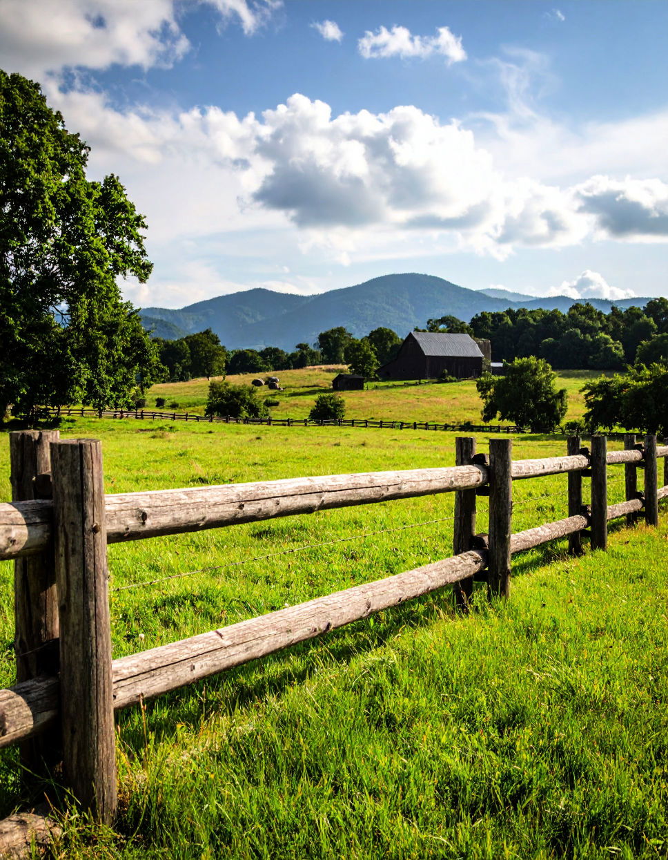 Split Rail Fences for Rustic Appeal Types of Fences