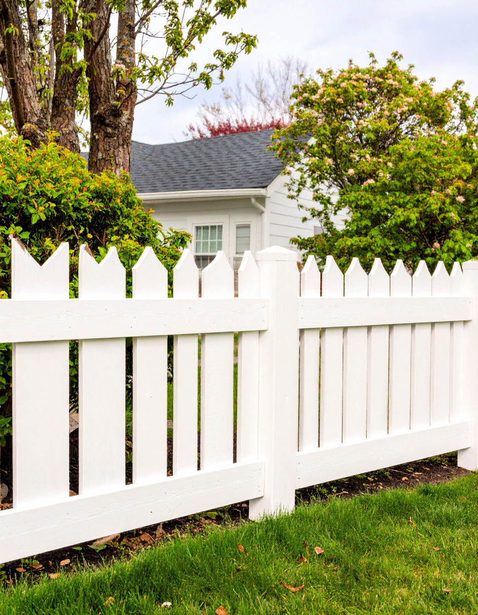 Whitewash Fence Stain Color