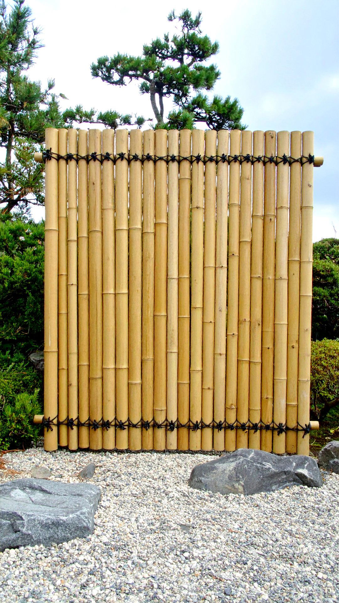 Bamboo Screens Frame Bonsai and Shield Harsh Winds - 25 bonsai garden ideas