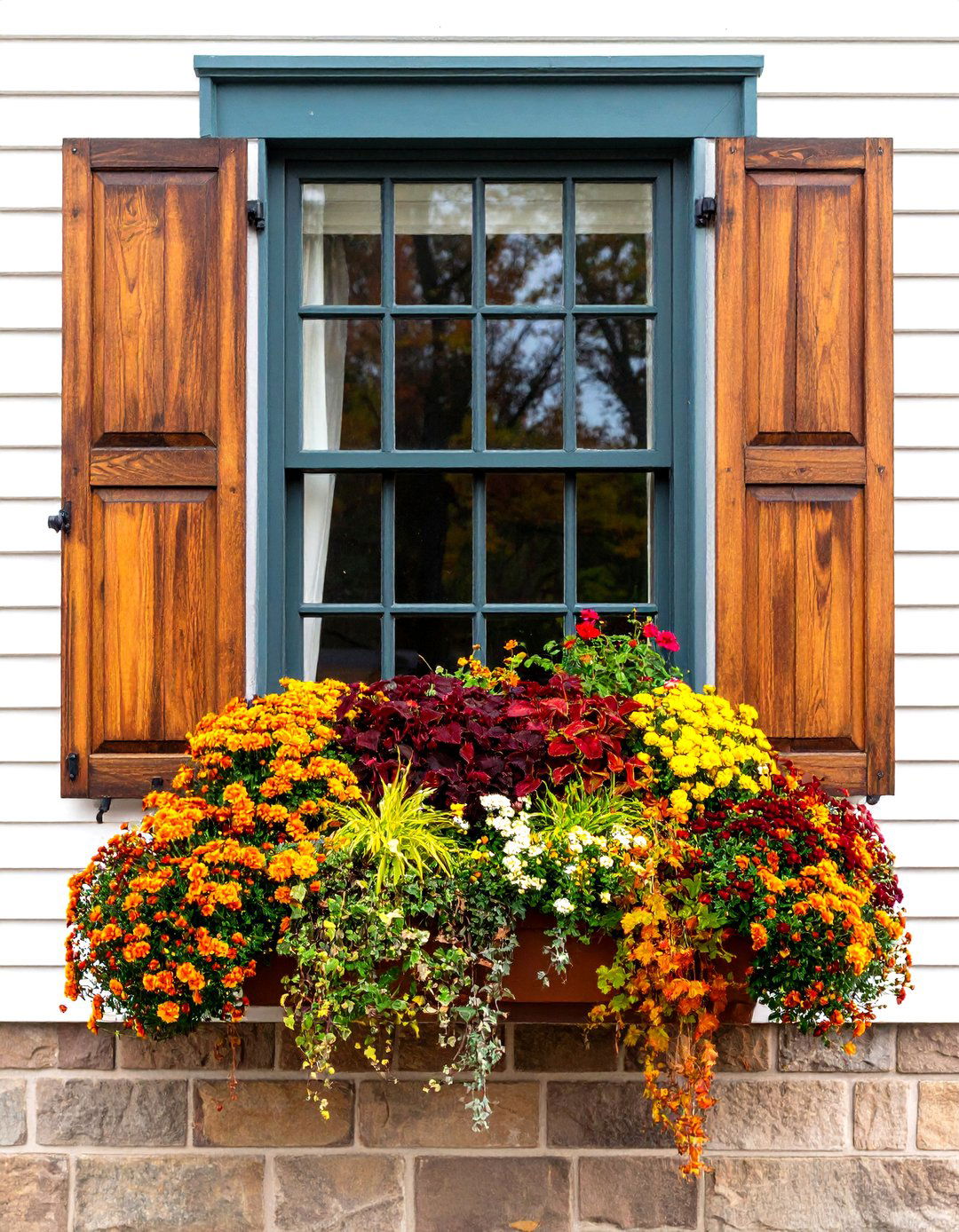Classic Chrysanthemum Cascade - 25 fall flower box ideas