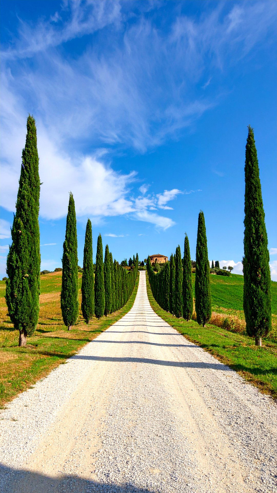 Cypress Allee to Lead the Eye Skyward - 25 greek garden ideas