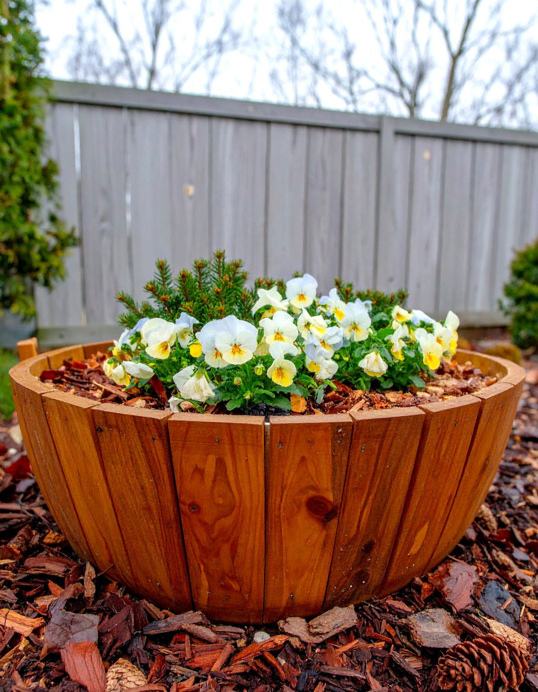 Frost Tolerant Violas Finale - 25 fall flower box ideas