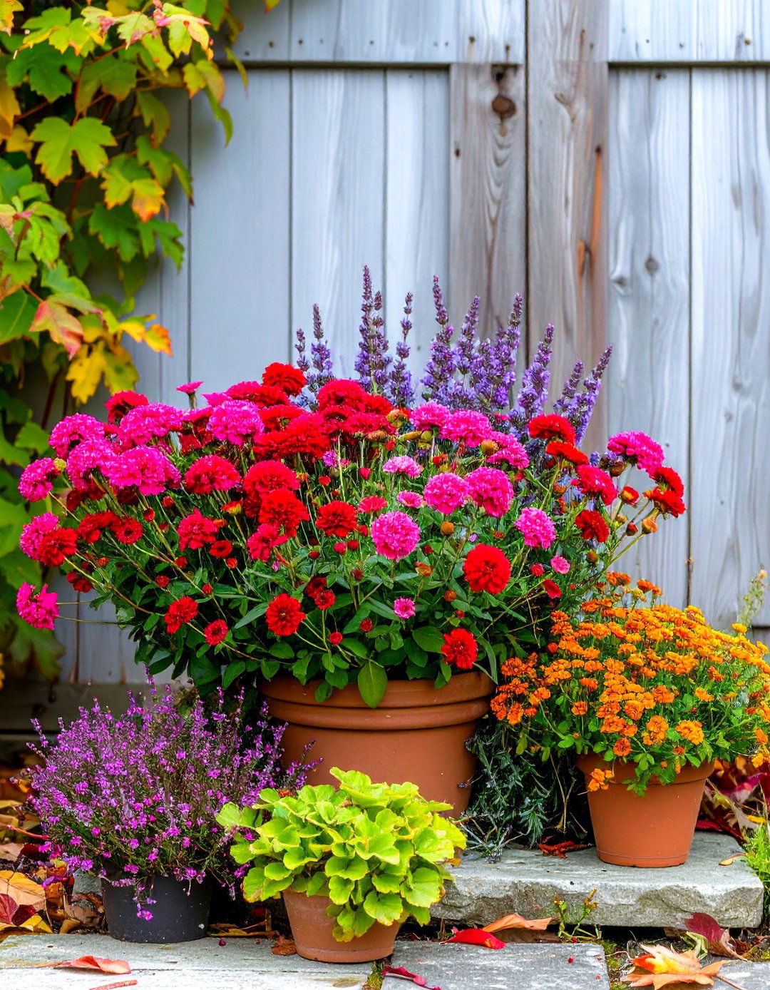 Jewel Toned Dianthus Design - 25 fall flower box ideas