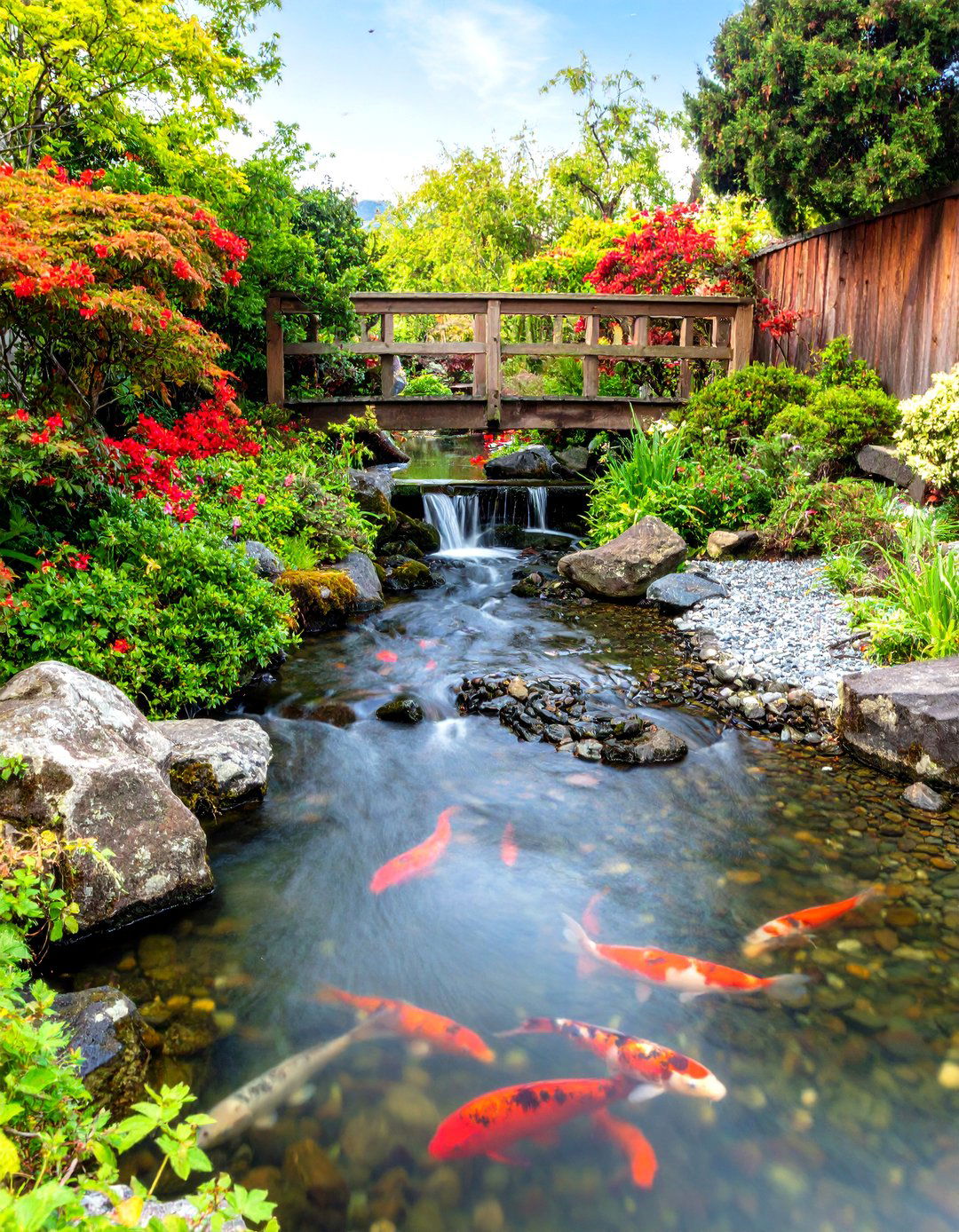 Meandering Stream Fed Koi Pond - 25 koi pond ideas