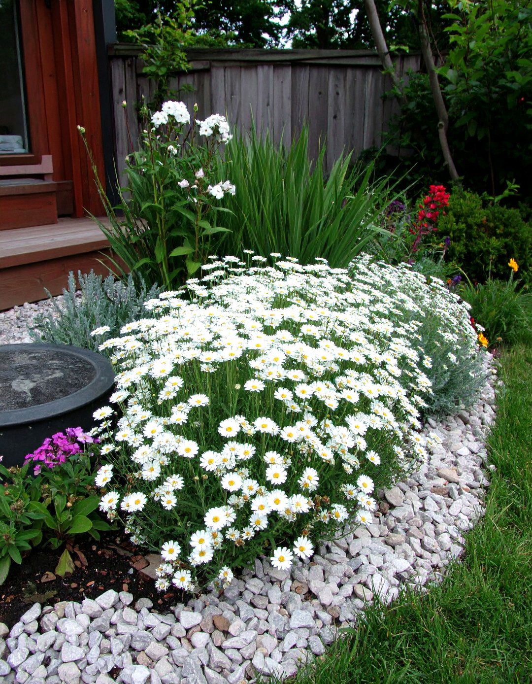 Moonlight White Border Garden Focal Point - 25 Garden Focal Point Ideas