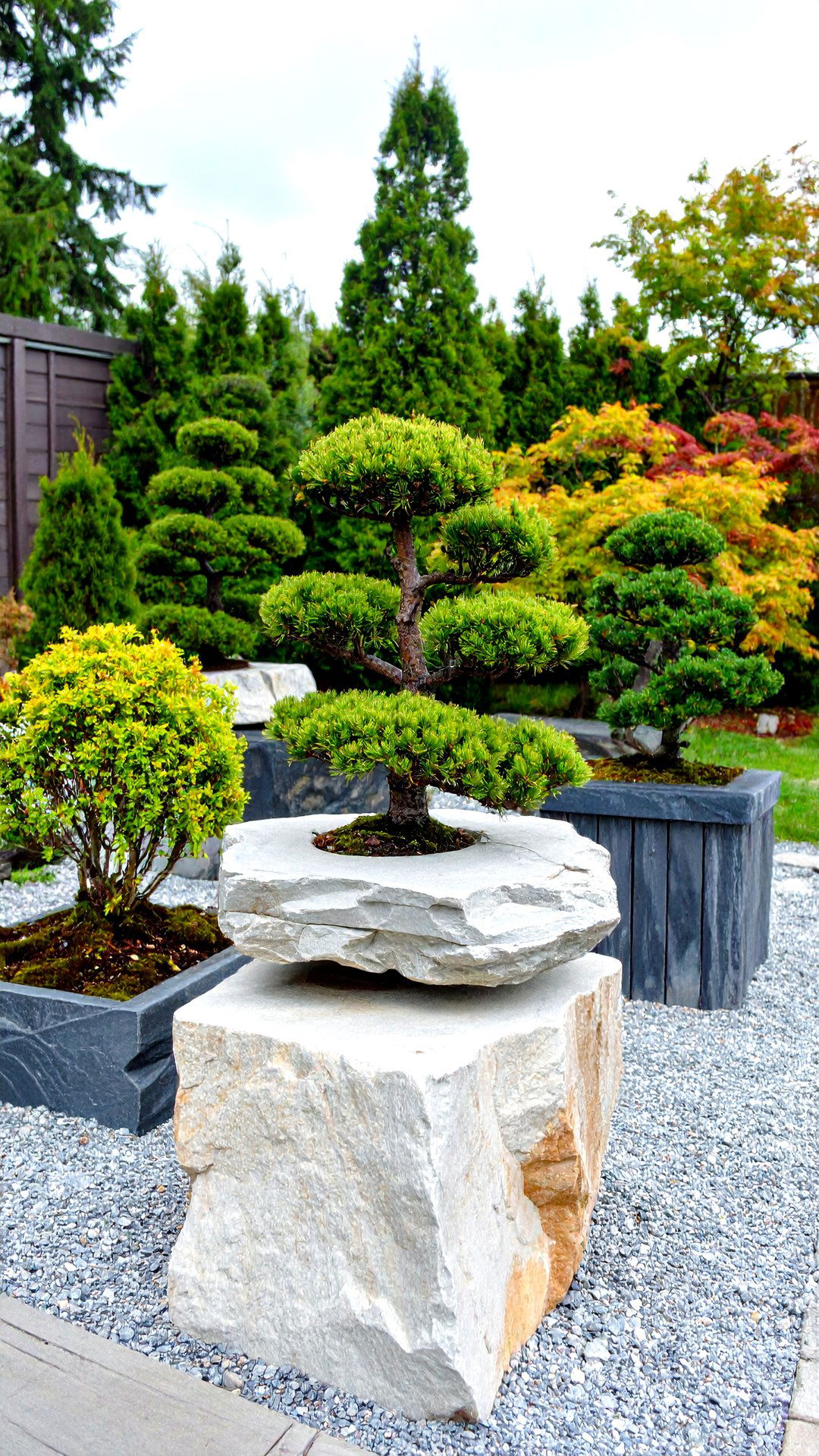 Natural Stone Slabs Become Rugged Bonsai Plinths - 25 bonsai garden ideas