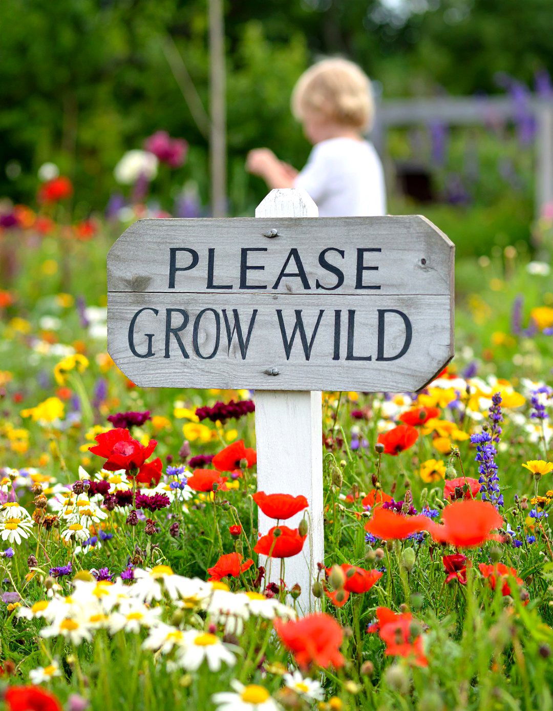 Pocket Meadow Patch - 25 nursery garden ideas