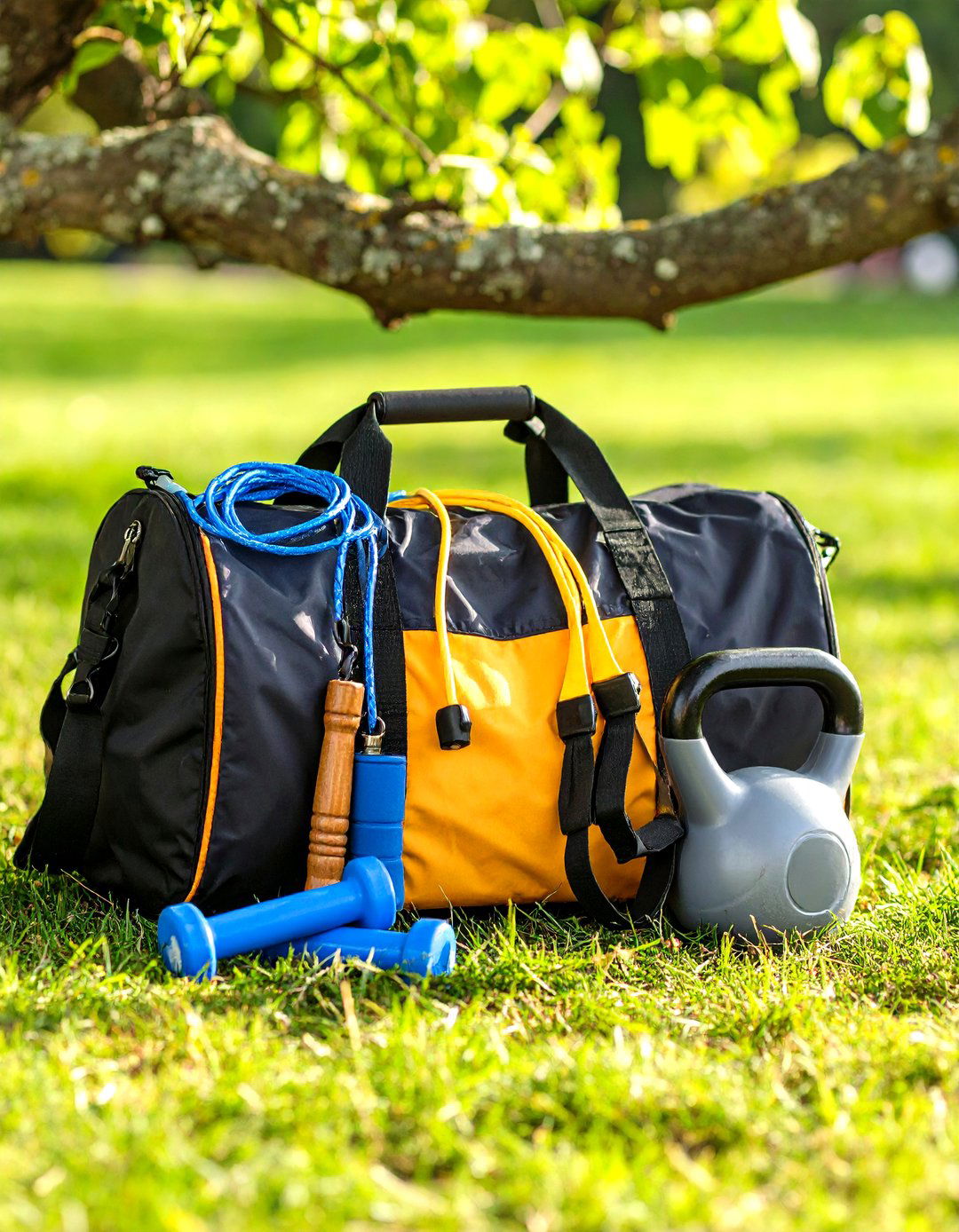 Portable Outdoor Gym Kit TRX Kettlebells Jump Rope - 25 outdoor gym ideas